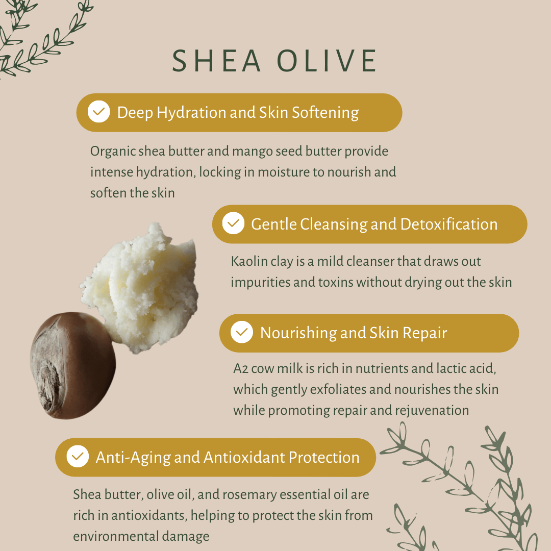 Shea Olive | For Dry Skin