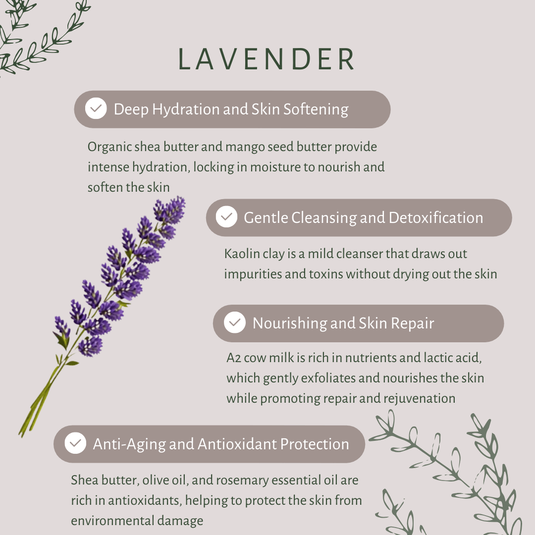 Lavender | For Dry Skin