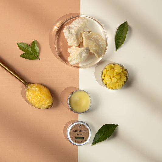 Lip Balm (Ghee) | Fresh A2 Cow Ghee | Cocoa Butter | Coconut Oil